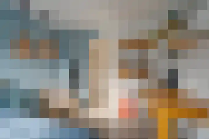 Thomas à Kempislaan 16 A Dalfsen thumbnail 37