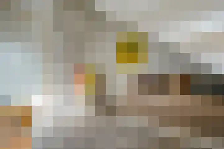 Thomas à Kempislaan 16 A Dalfsen thumbnail 38