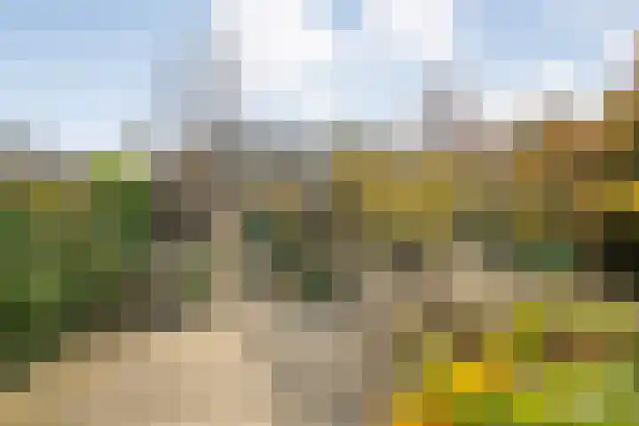Thomas à Kempislaan 16 A Dalfsen thumbnail 5
