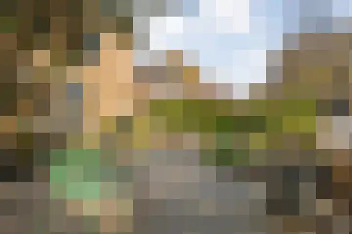 Thomas à Kempislaan 16 A Dalfsen thumbnail 50