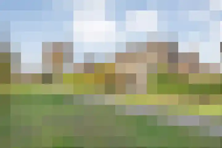 Thomas à Kempislaan 16 A Dalfsen thumbnail 52