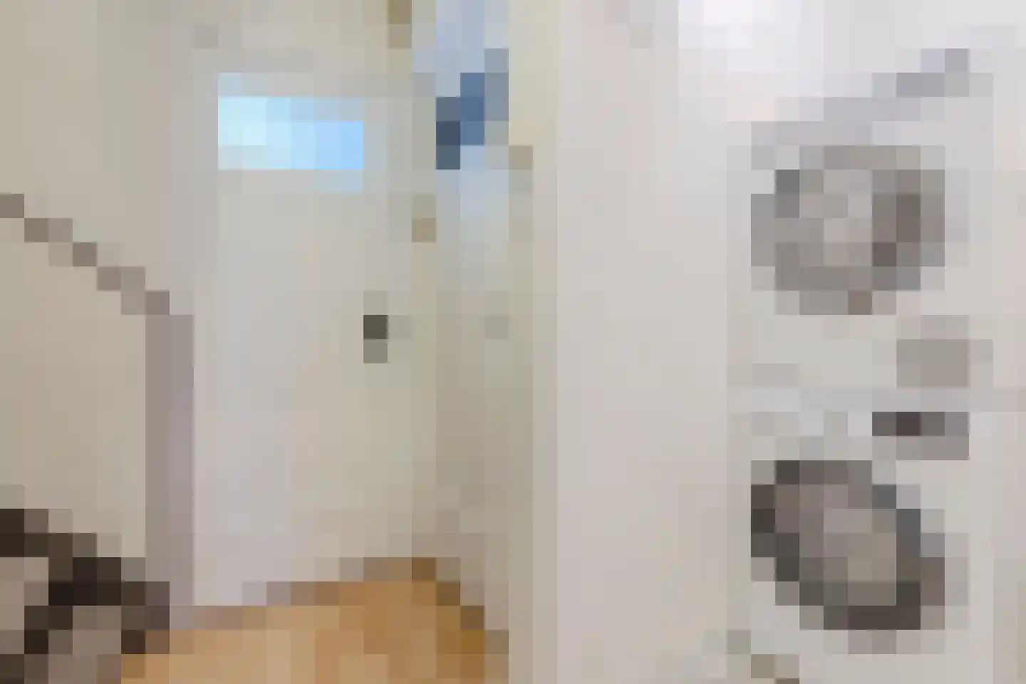 Thomas à Kempislaan 18 Eindhoven thumbnail 20