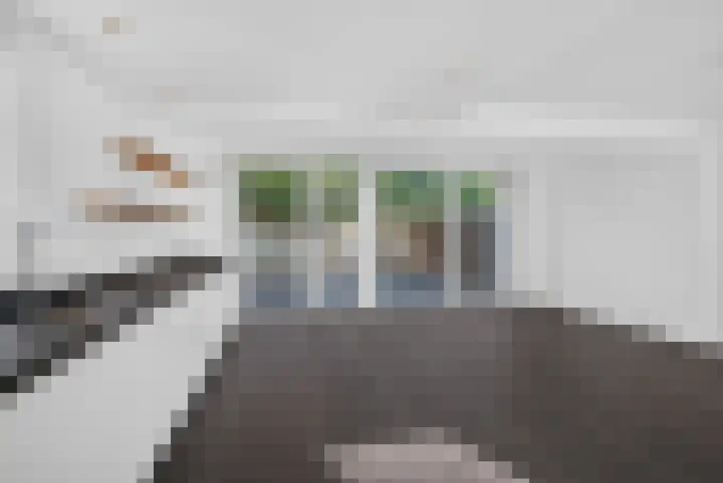Thomas a Kempisstraat 1 's-Hertogenbosch thumbnail 4