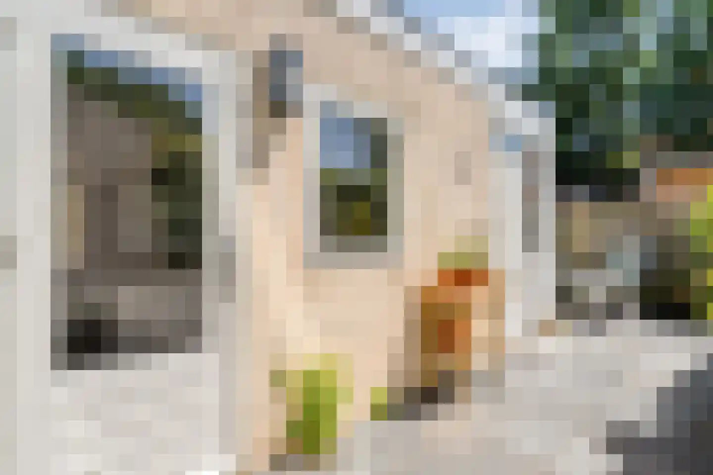 Thomas a Kempisstraat 120 Zwolle thumbnail 24