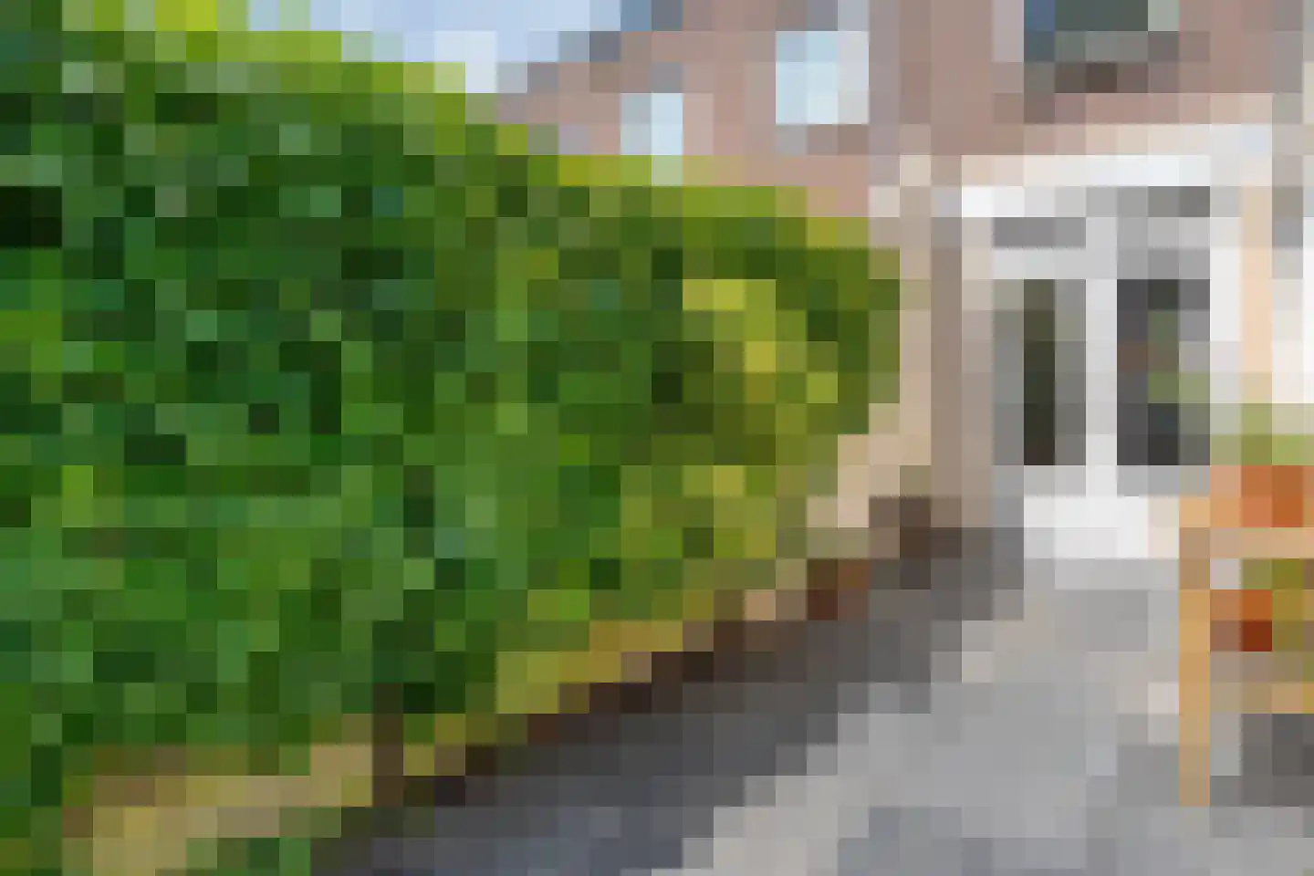 Thomas a Kempisstraat 120 Zwolle thumbnail 25
