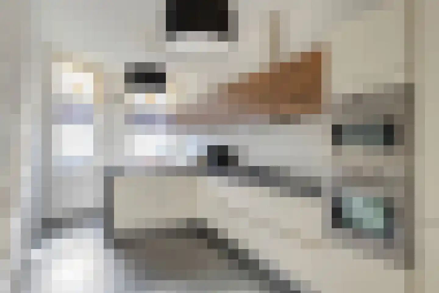 Thomas a Kempisstraat 149 Zwolle thumbnail 10