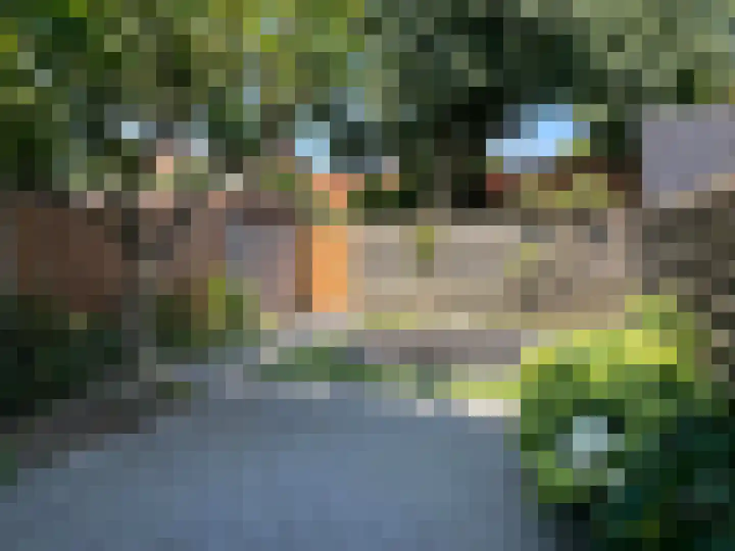 Thomas a Kempisstraat 149 Zwolle thumbnail 30