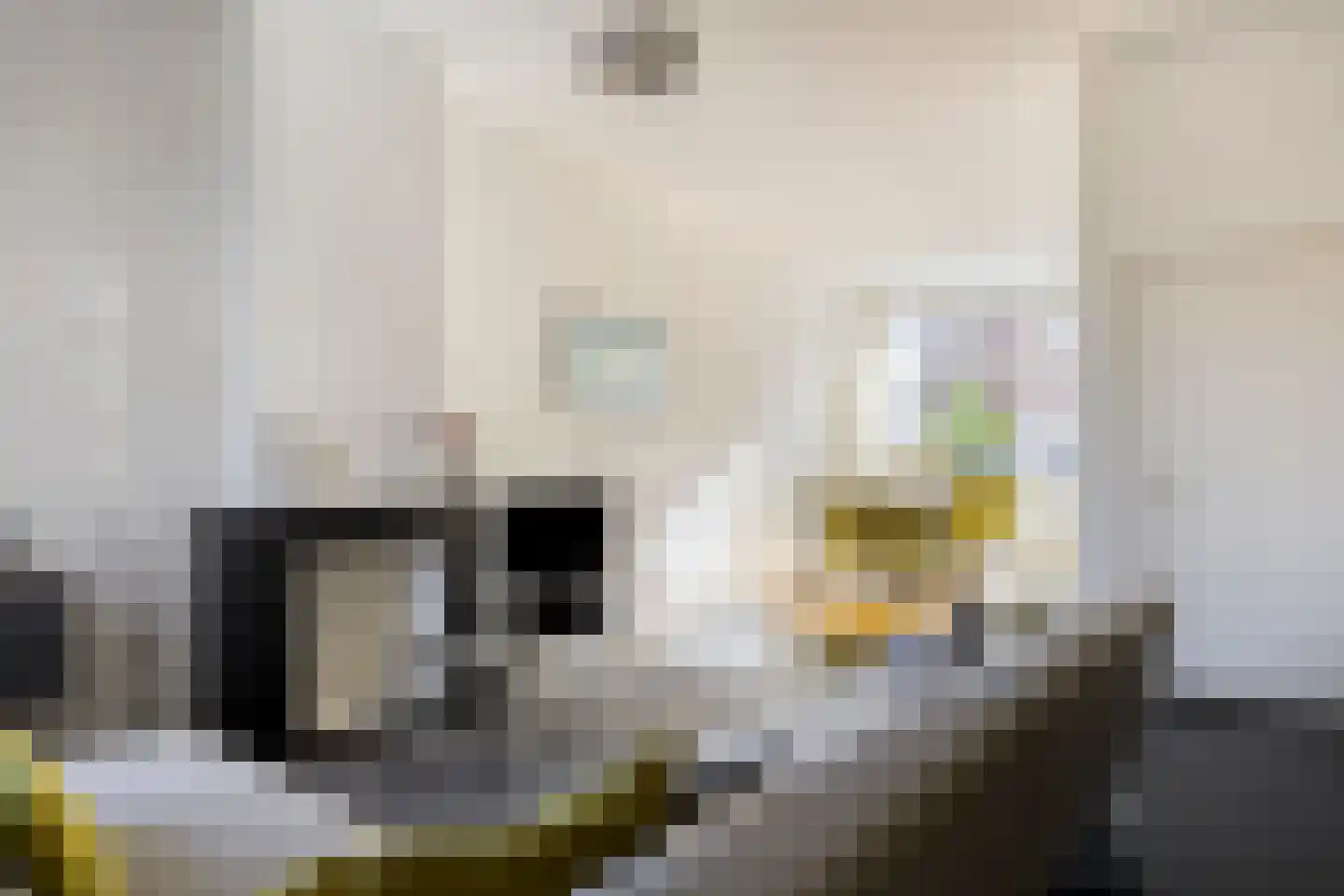 Thomas a Kempisstraat 149 Zwolle thumbnail 4