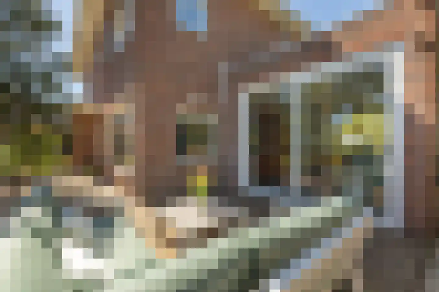 Thomas à Kempisstraat 15 Amsterdam thumbnail 50
