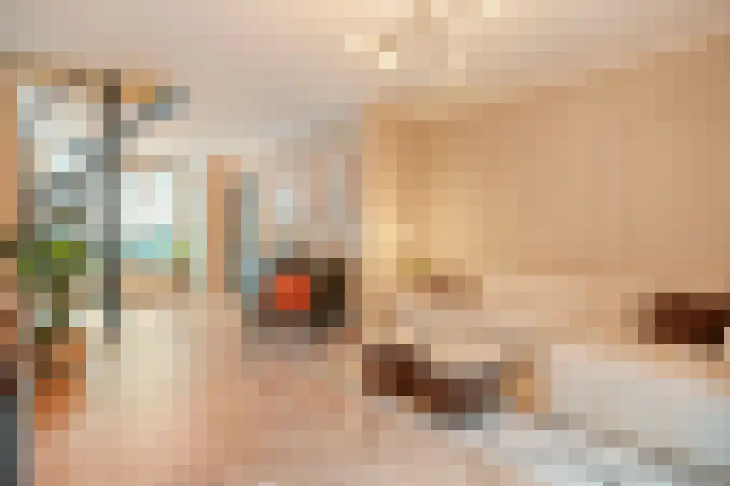 Thomas a Kempisstraat 151 Zwolle thumbnail 10