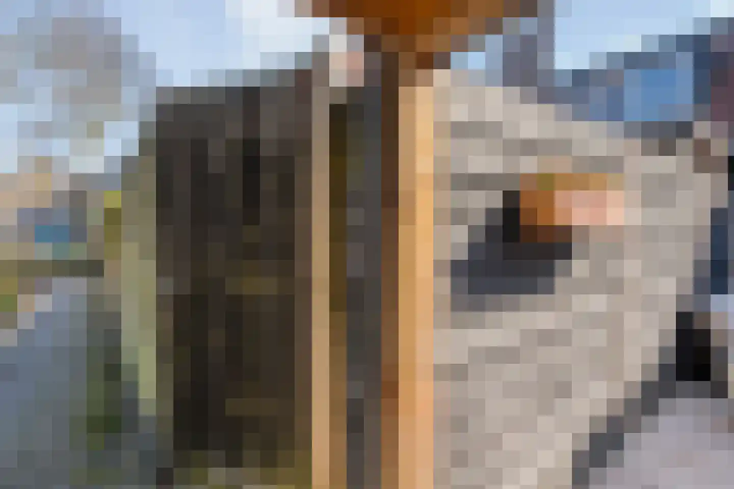 Thomas a Kempisstraat 151 Zwolle thumbnail 32