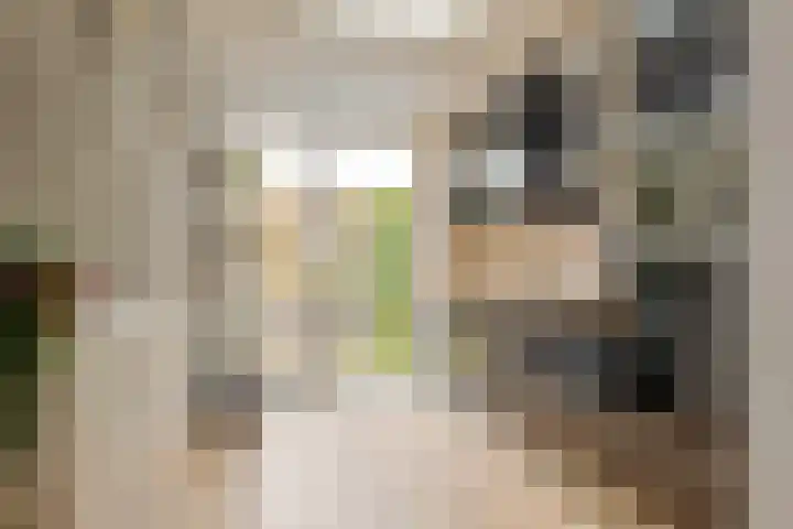 Thomas a Kempisstraat 56 Zwolle thumbnail 15