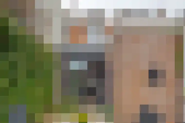 Thomas a Kempisstraat 56 Zwolle thumbnail 22
