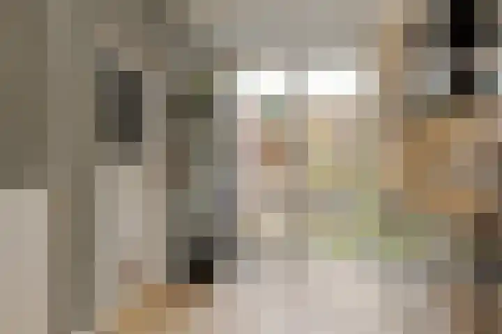 Thomas a Kempisstraat 56 Zwolle thumbnail 23