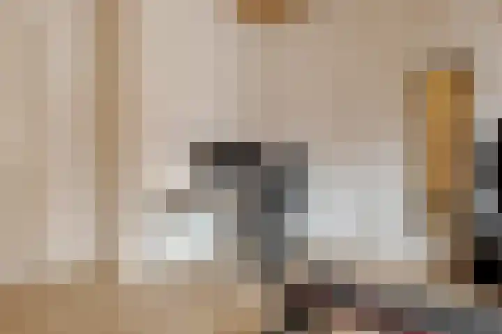 Thomas a Kempisstraat 56 Zwolle thumbnail 30