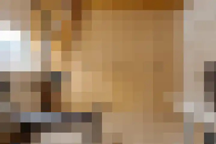 Thomas a Kempisstraat 56 Zwolle thumbnail 31