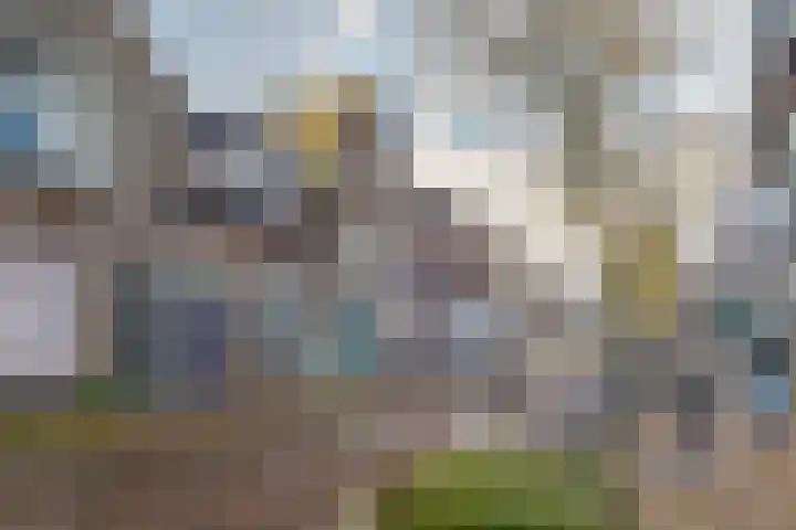 Thomas a Kempisstraat 56 Zwolle thumbnail 4