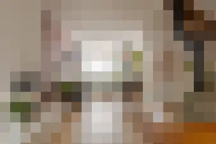 Thomas a Kempisstraat 56 Zwolle thumbnail 6