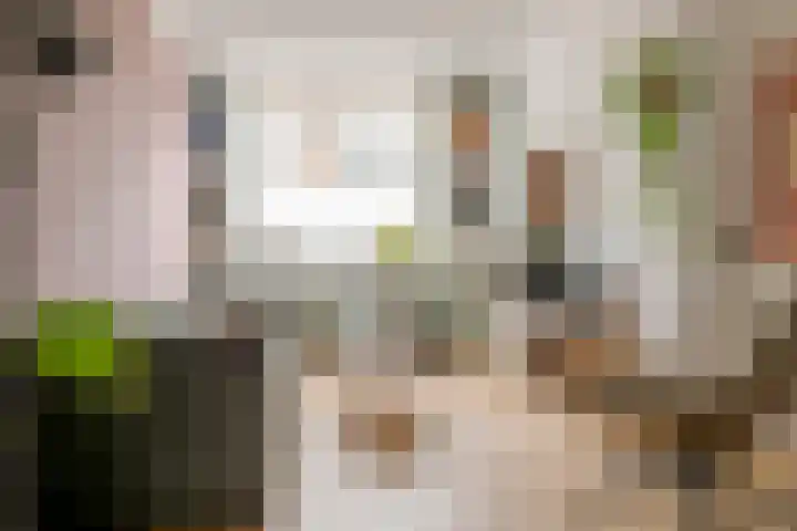 Thomas a Kempisstraat 56 Zwolle thumbnail 9