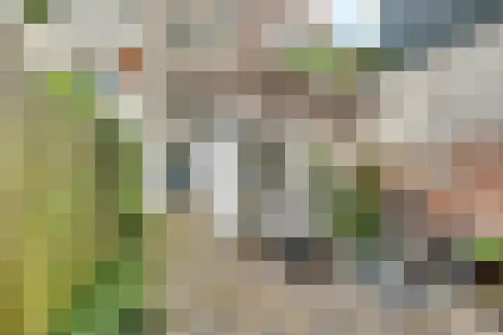 Thomas a Kempisstraat 84 Zwolle thumbnail 27