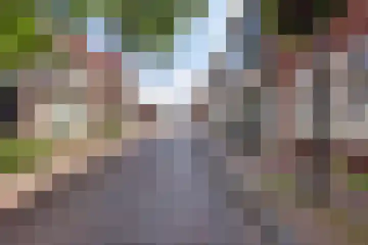 Thomas a Kempisstraat 84 Zwolle thumbnail 34