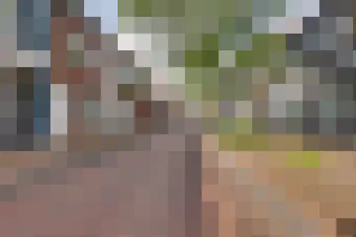 Thomas a Kempisstraat 84 Zwolle thumbnail 35