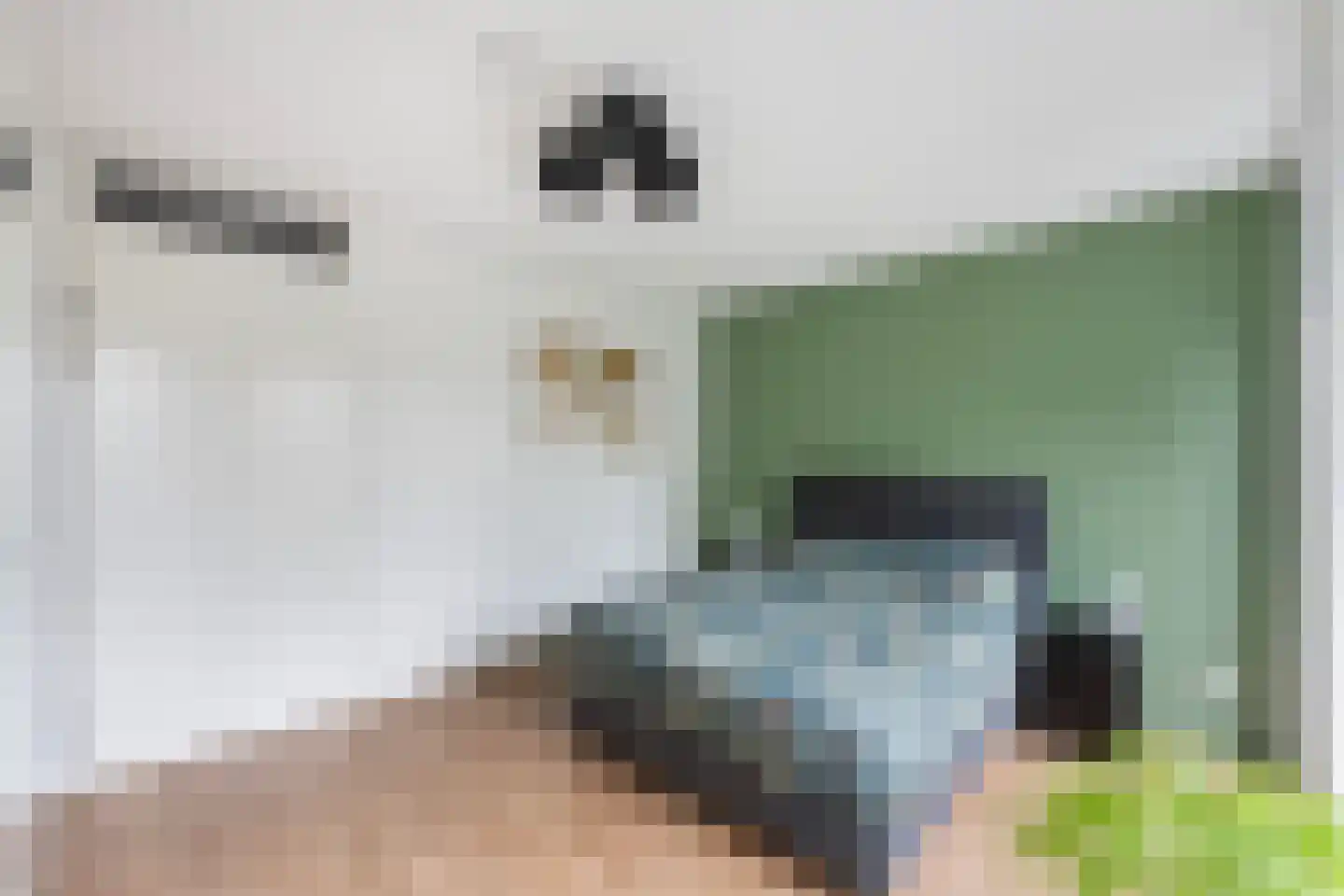 Thomas a Kempisstraat 93 Zwolle thumbnail 14