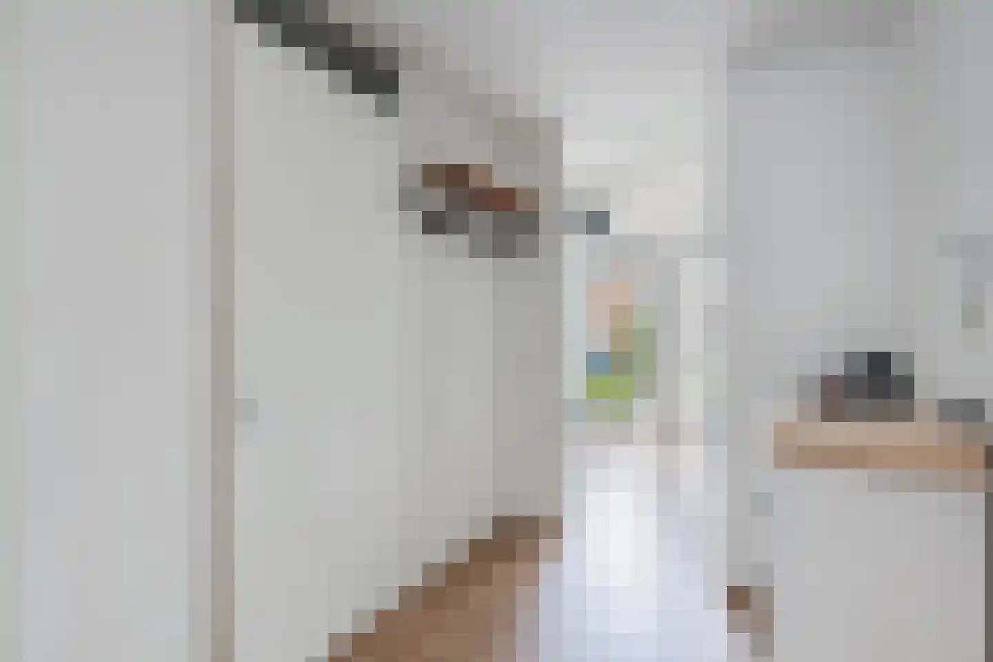 Thomas a Kempisstraat 93 Zwolle thumbnail 6