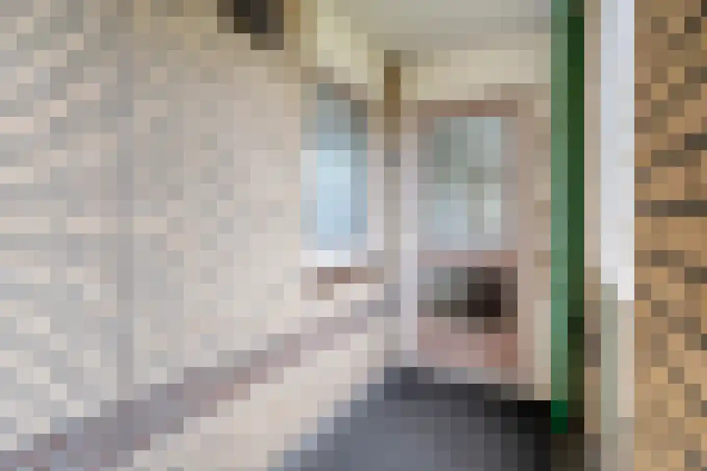 Thomas Ainsworthstraat 32 Nijverdal thumbnail 8