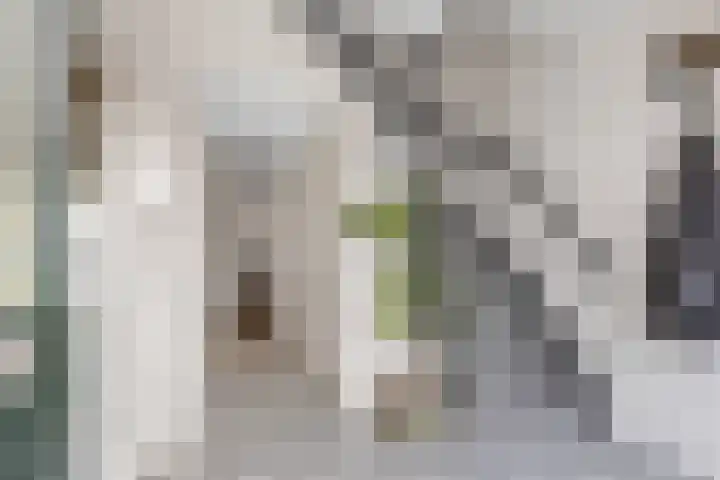 Thomas de Grootstraat 20 Franeker thumbnail 20