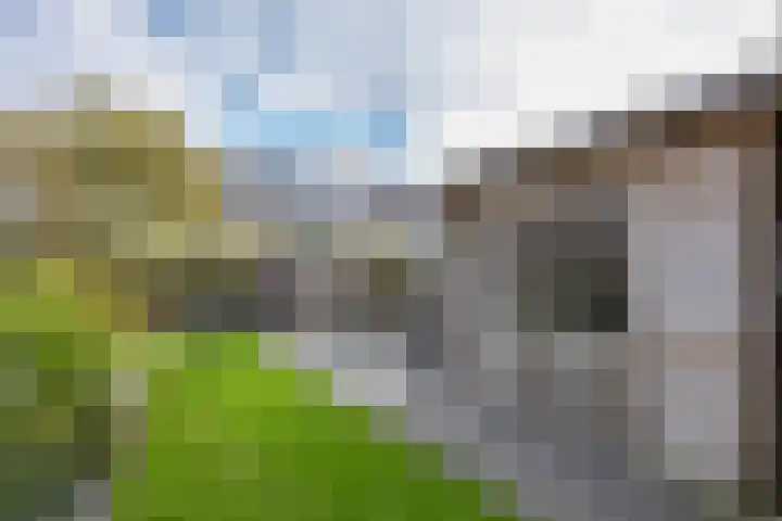 Thomas de Grootstraat 20 Franeker thumbnail 37