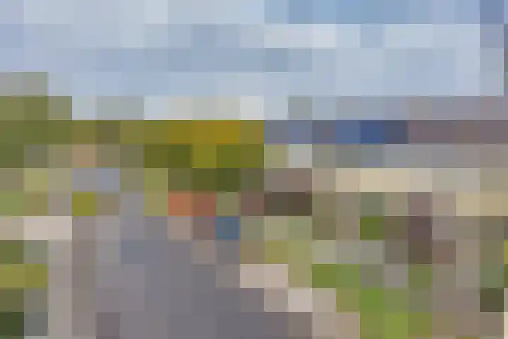 Thomas de Grootstraat 20 Franeker thumbnail 42