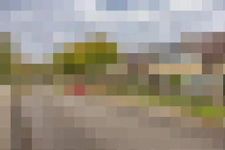 Thomas de Grootstraat 20 Franeker thumbnail 43