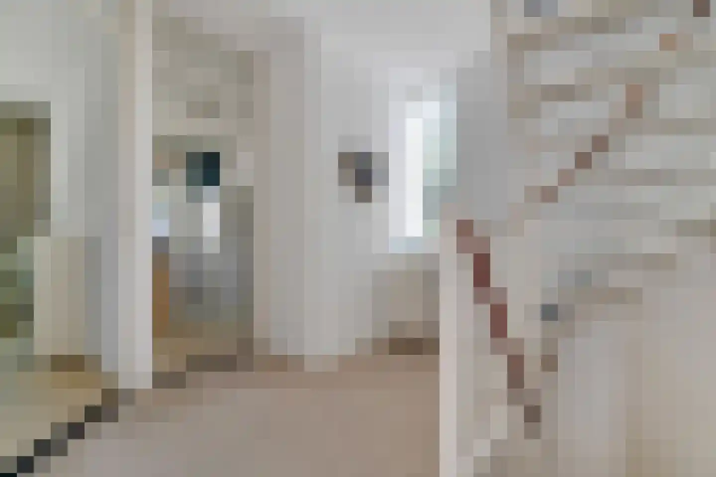 Thomas de Keyserstraat 401 Enschede thumbnail 22