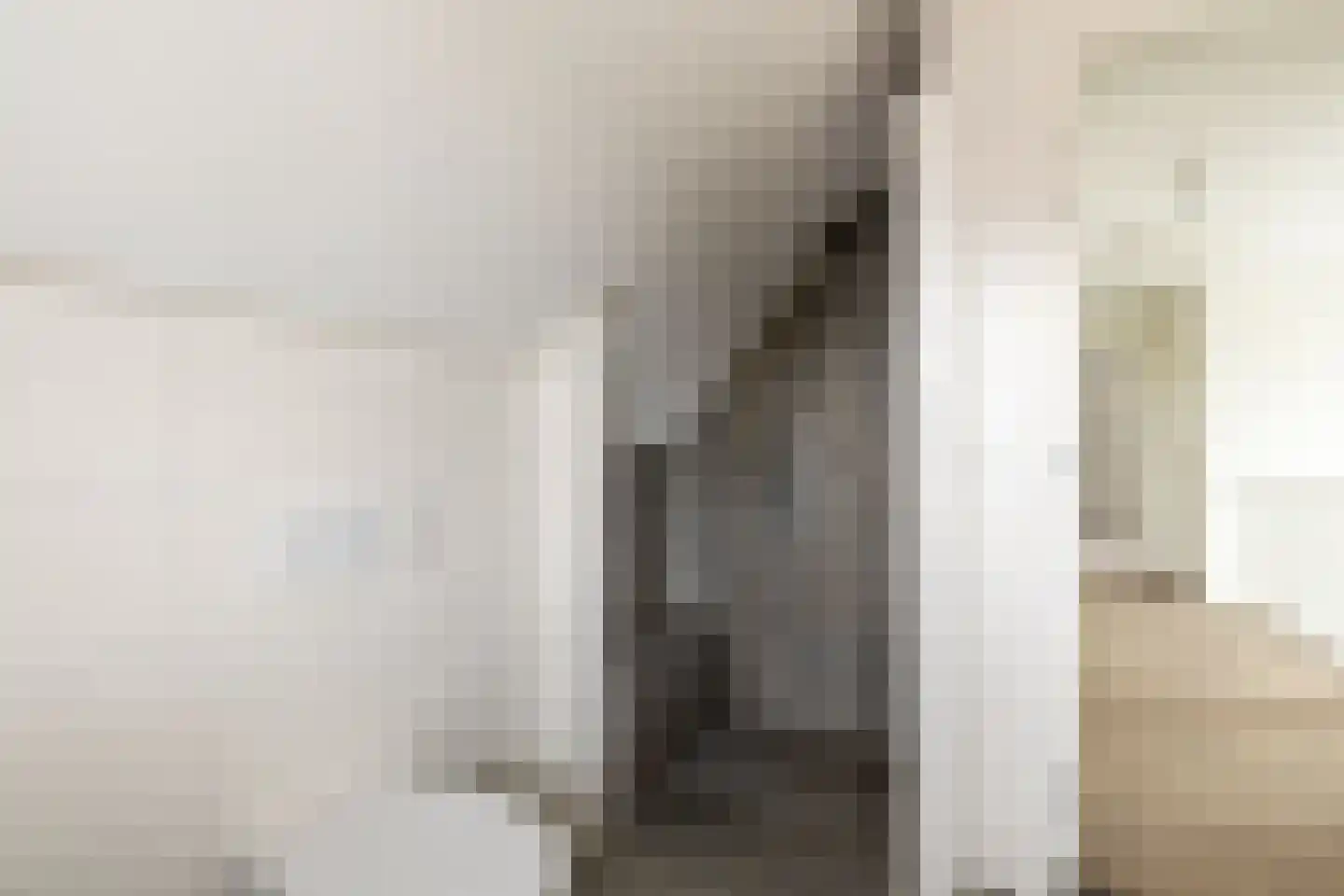 Thomas Edisonstraat 1 a Zuid-Beijerland thumbnail 36