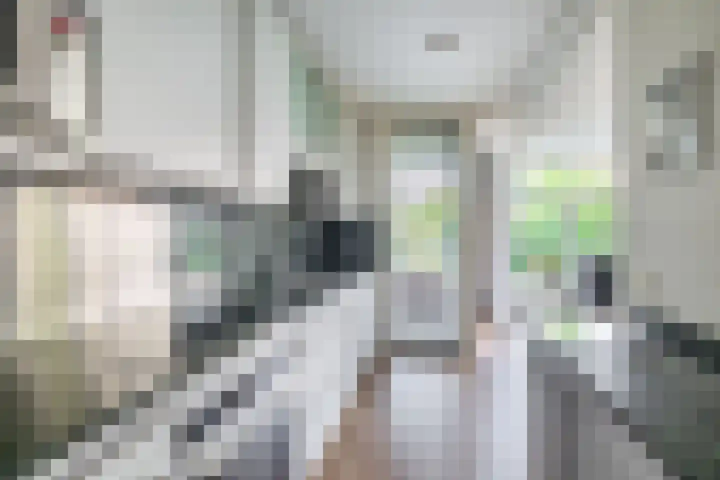 Thomas Ettylaan 18 Arnhem thumbnail 15