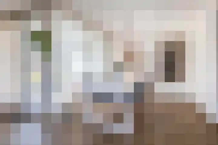 Thomas Ettylaan 26 Arnhem thumbnail 10