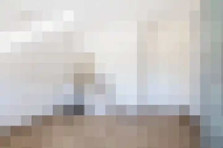 Thomas Ettylaan 26 Arnhem thumbnail 20