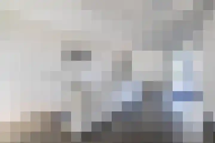 Thomas Ettylaan 26 Arnhem thumbnail 28