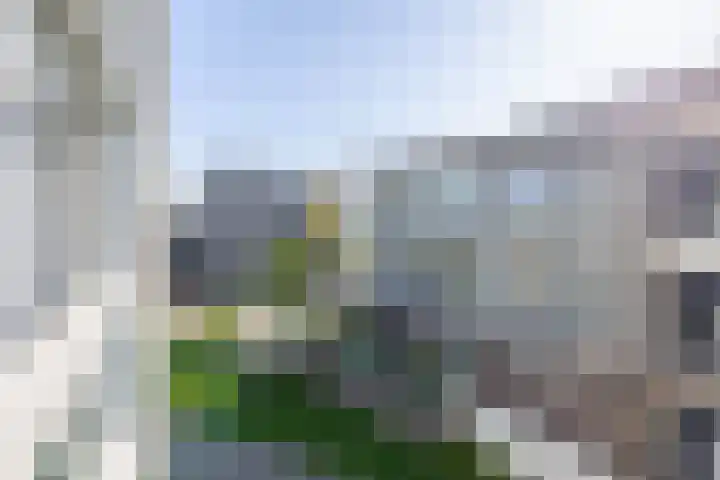 Thomas Ettylaan 26 Arnhem thumbnail 36