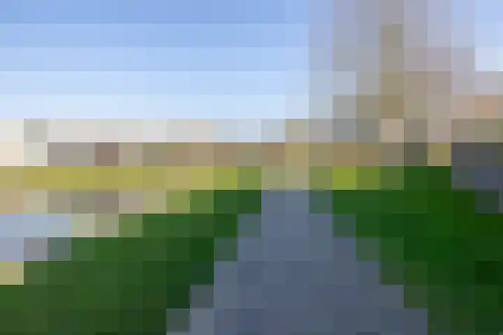 Thomas Ettylaan 26 Arnhem thumbnail 38