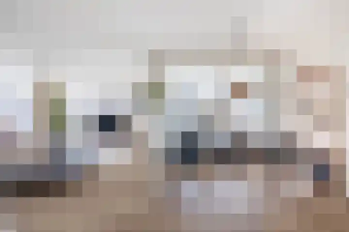 Thomas Ettylaan 26 Arnhem thumbnail 5