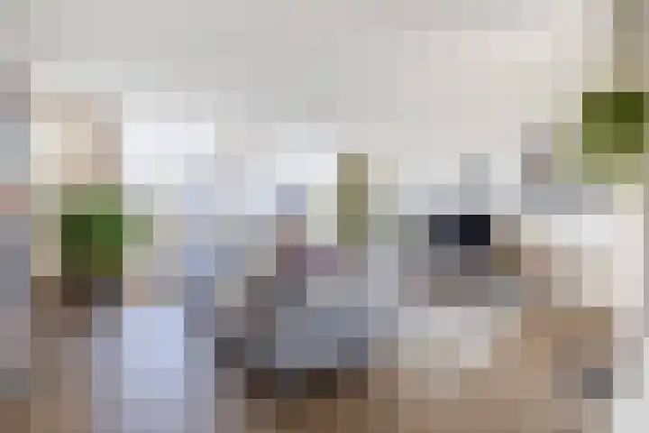 Thomas Ettylaan 26 Arnhem thumbnail 6