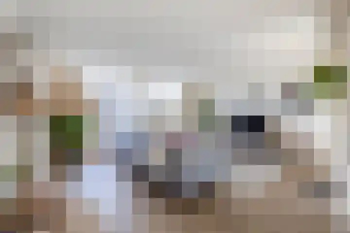 Thomas Ettylaan 26 Arnhem thumbnail 8