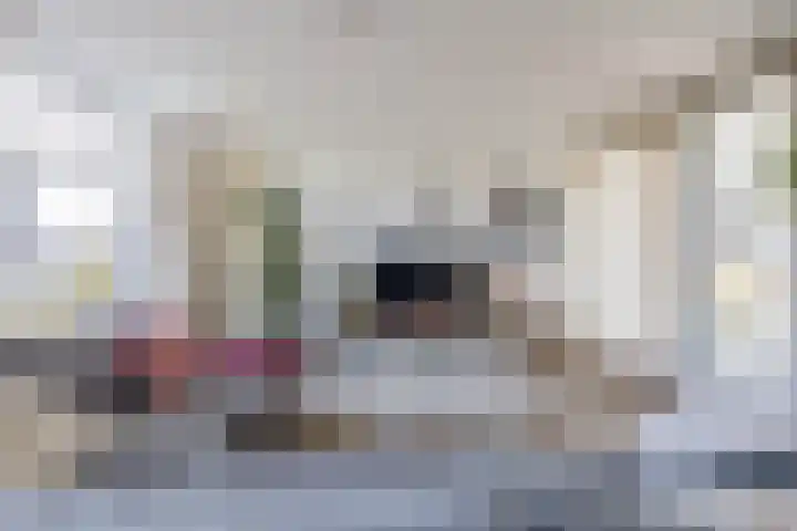 Thomas Ettylaan 26 Arnhem thumbnail 9