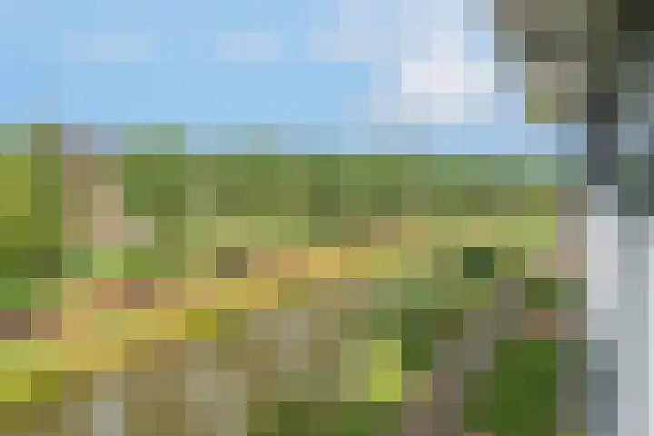 Thomas Ettylaan 48 Arnhem thumbnail 27