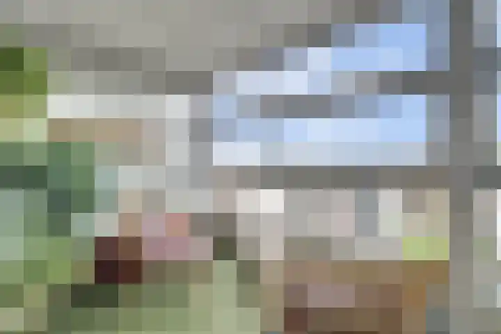 Thomas Ettylaan 48 Arnhem thumbnail 4