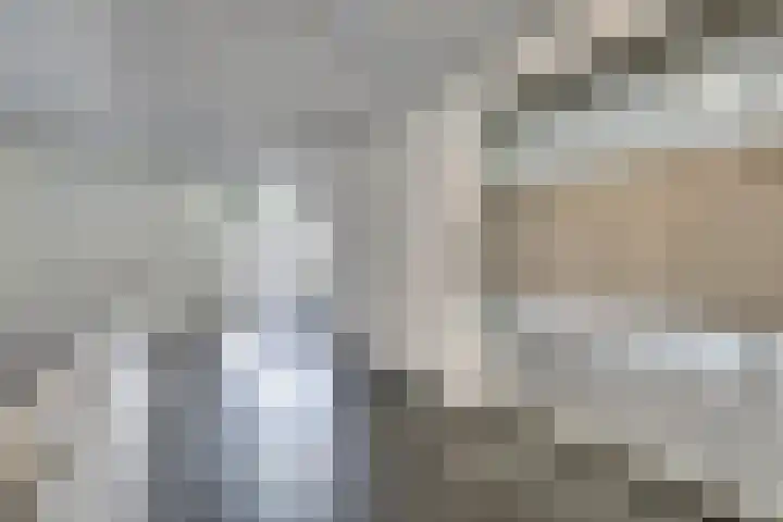 Thomas Ettylaan 48 Arnhem thumbnail 8