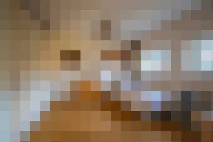 Thomas Ettylaan 56 Arnhem thumbnail 23