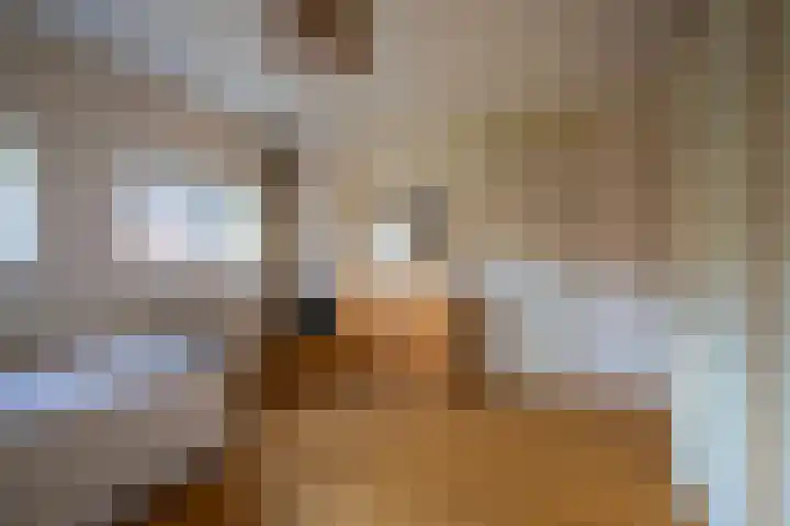 Thomas Ettylaan 56 Arnhem thumbnail 24